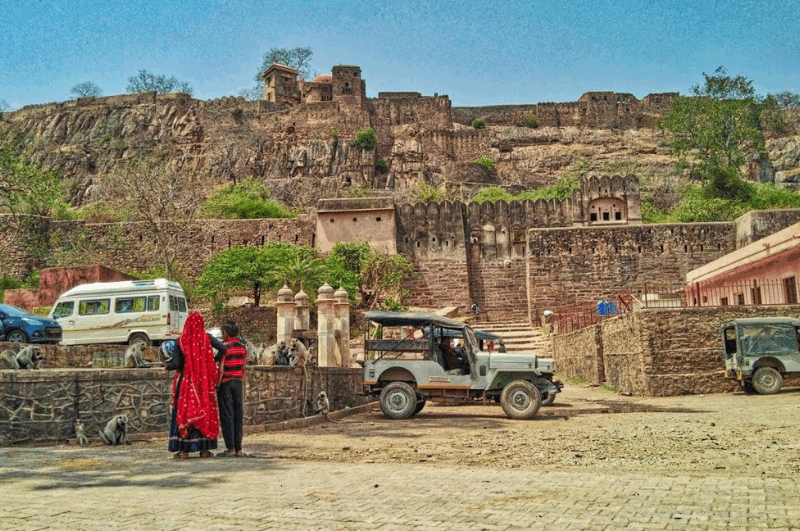 Royals & Roars: A Jaipur–Ranthambore Escape